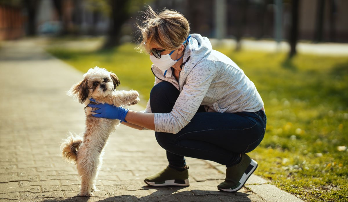 Pets & COVID-19: Everything You Need to Know