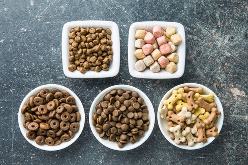 Healthiest Dog Foods for Small Breeds