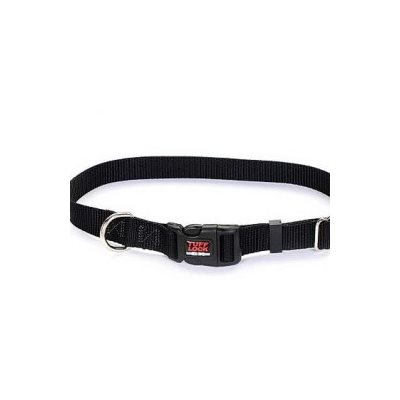 Reflex Collar 1"x25" Black