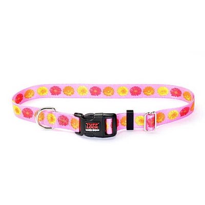 Reflex Collar 1"x25" Daisies