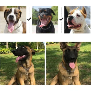 4 Size Stainless Steel Slip Chain Collar for Dog Adjustable Pet Accessories Dog Collar for Small Medium Large Dog Collar - Image 6