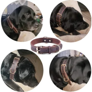 Benepaw Quality Genuine Leather Dog Collar Durable Vintage Heavy-duty Rustproof Double D-Ring Pet Collar For Medium Large Dogs - Image 5