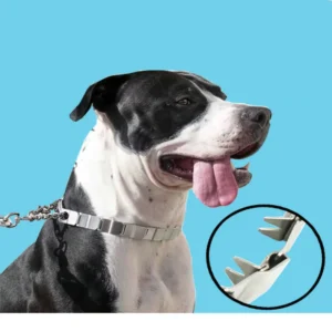 HQ DC01 Stainless Steel 38-68CM Adjustable Dog Training Chain Dog-Collar Choke Chain Pinch Collar For Giant dogs - Image 2