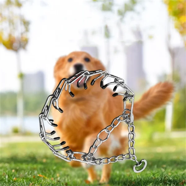 Effective Pinch Dog Training Collar With Comfort Rubber Tips Safe Adjustable Detachable Stainless Steel Pet Prong Choke Collar