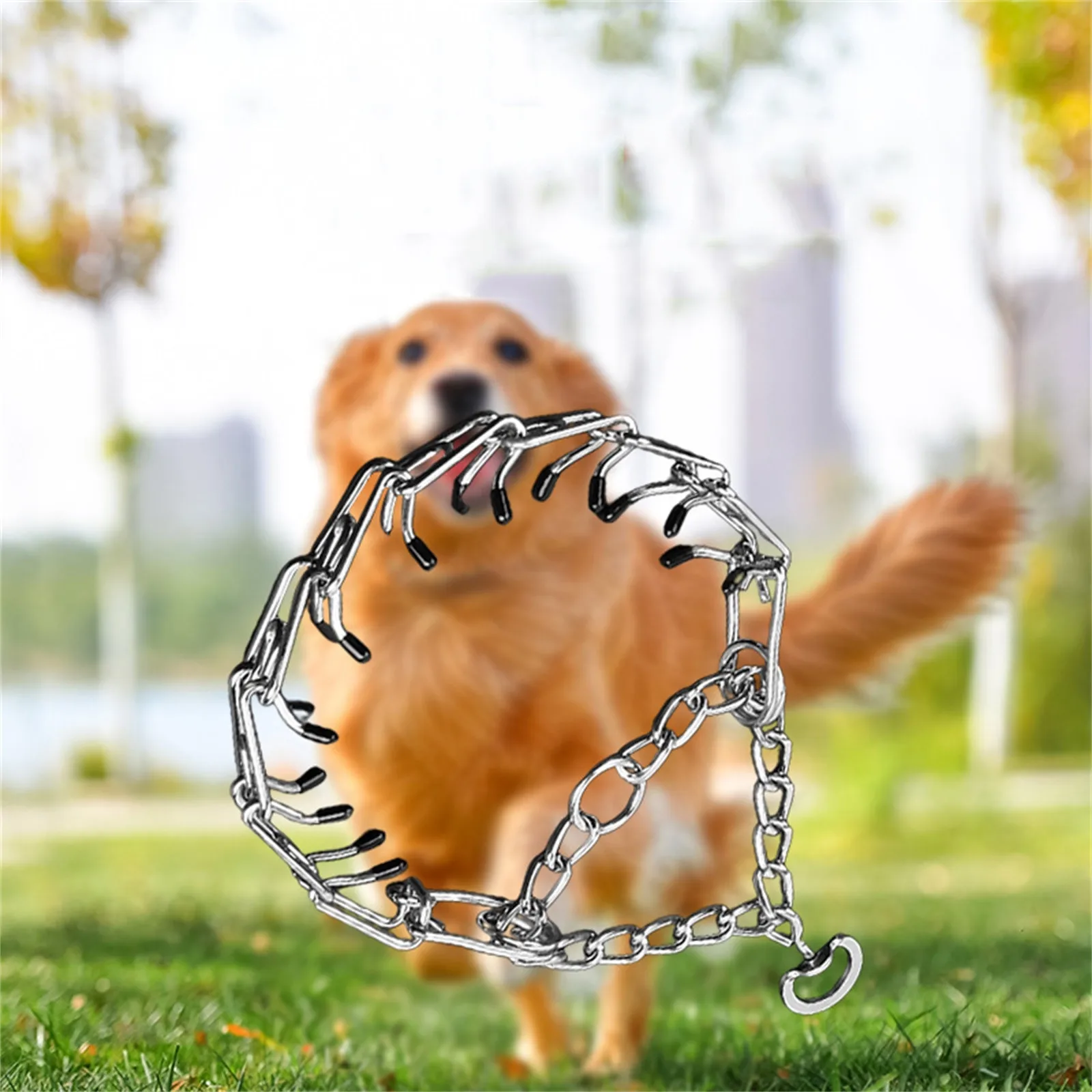 Effective Pinch Dog Training Collar With Comfort Rubber Tips Safe Adjustable Detachable Stainless Steel Pet Prong Choke Collar - Image 5