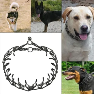 Training Prong Dog Collar Removable Black Pet Link Chain Adjustable Stainless Steel Metal Spike Necklace with Comfort Rubber Tip - Image 3