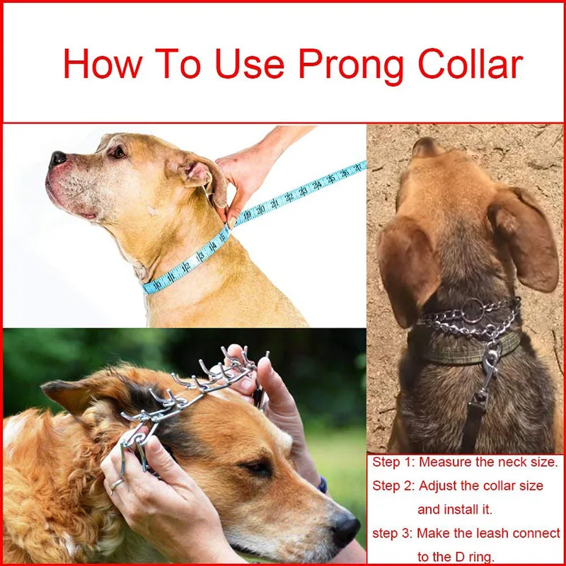 Effective Pinch Dog Training Collar With Comfort Rubber Tips Safe Adjustable Detachable Stainless Steel Pet Prong Choke Collar - Image 3