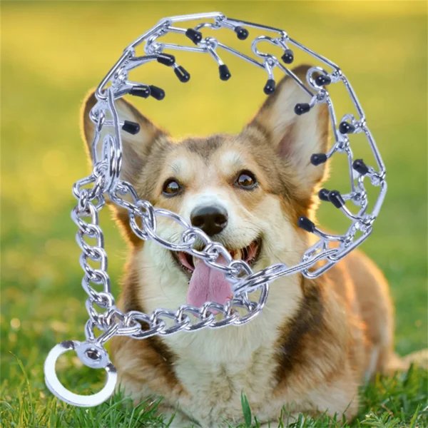 Effective Pinch Dog Training Collar With Comfort Rubber Tips Safe Adjustable Detachable Stainless Steel Pet Prong Choke Collar
