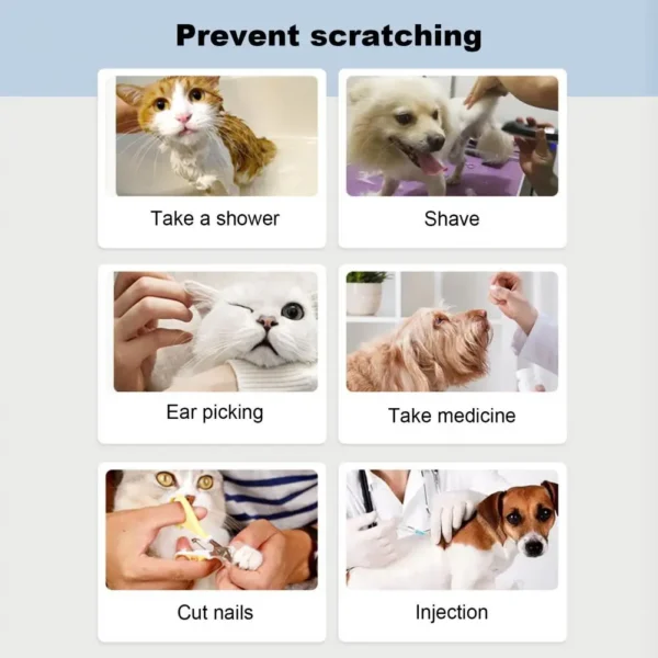 20Pcs Pet Nail Caps With Adhesive Pet Claw Covers Cat Nail Tip Claw Protector Adhesive Applicator For Dogs Cats Pet Accessories