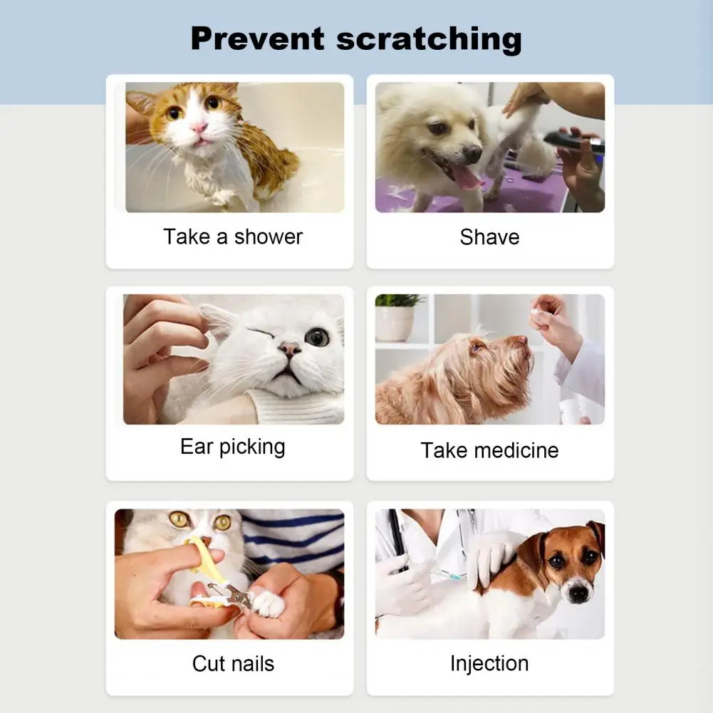 20Pcs Pet Nail Caps With Adhesive Pet Claw Covers Cat Nail Tip Claw Protector Adhesive Applicator For Dogs Cats Pet Accessories - Image 6