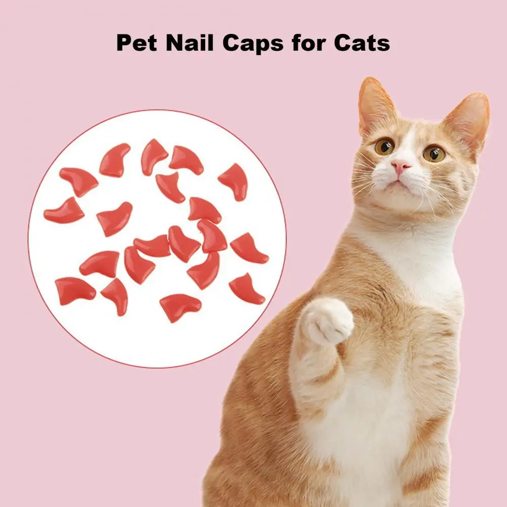 20Pcs Pet Nail Caps With Adhesive Pet Claw Covers Cat Nail Tip Claw Protector Adhesive Applicator For Dogs Cats Pet Accessories - Image 4