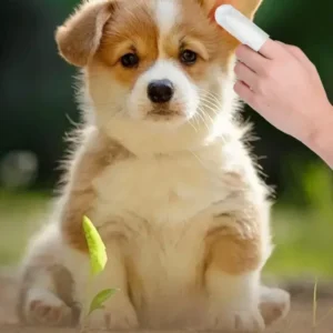 Disposable Pet Cleaning Products Teeth Cleaning Wipes Ear Care Fingertips Ear Mite Removal Cat and Dog Ear Cleaning Pet Products - Image 9