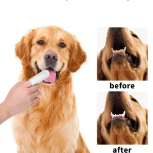 Disposable Pet Cleaning Products Teeth Cleaning Wipes Ear Care Fingertips Ear Mite Removal Cat and Dog Ear Cleaning Pet Products - Image 8