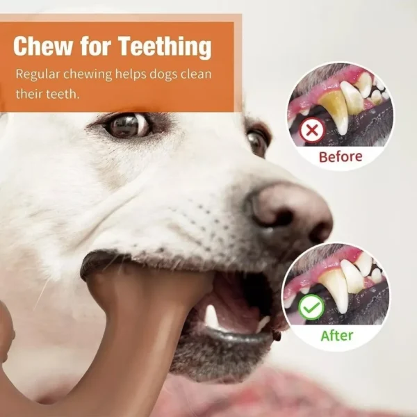 Nylon Beef Flavour Wishbone New Dog Supplies Grinding Teeth Dog Chew Toy Bone Training Puppy Interactive Extreme Tough Dog Toy